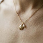 Colar concha e pérola de água Colar concha e pérola de água